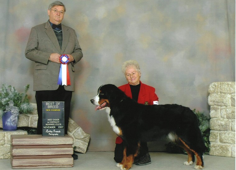 Best of Breed2.